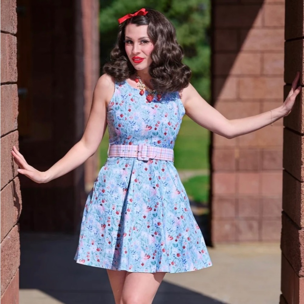 NWT ~ S Fairy Berry Skater Dress Retrolicious Fit and Flare
